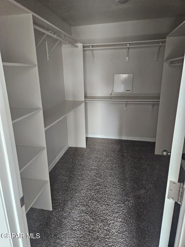 walk in closet with carpet flooring