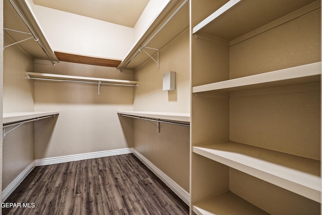 spacious closet featuring dark wood finished floors