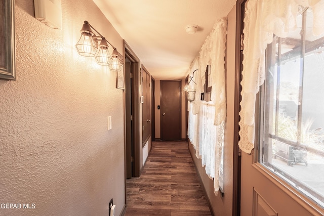 hall with dark hardwood / wood-style flooring