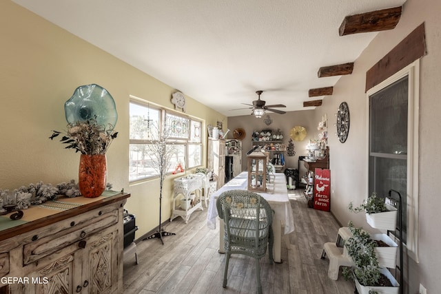 interior space with ceiling fan and light hardwood / wood-style floors