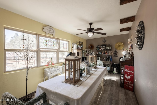 dining room featuring ceiling fan and dark hardwood / wood-style floors