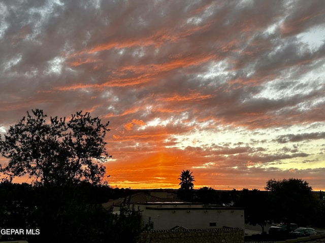 view of nature at dusk