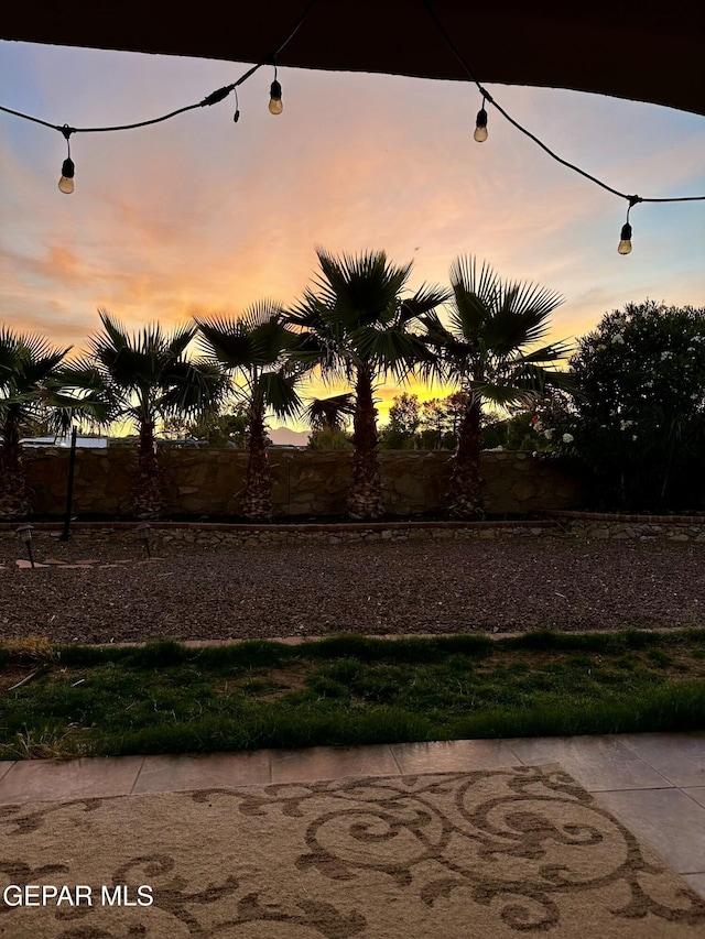 view of yard at dusk