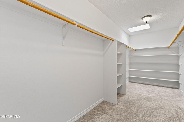 walk in closet with carpet