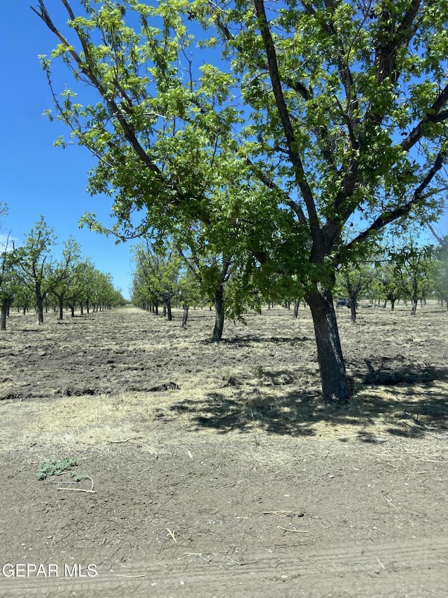 841 Aldaz, Anthony NM, 88021 land for sale