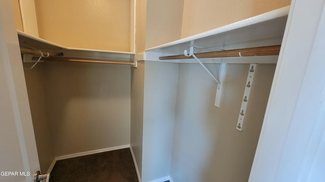 spacious closet with carpet flooring