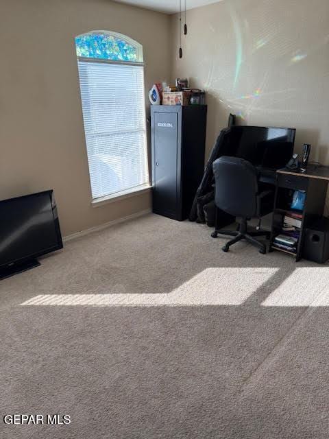 home office with light carpet