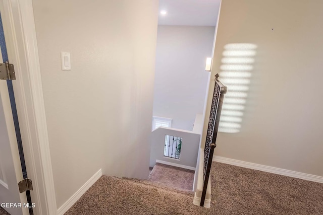 staircase featuring carpet flooring