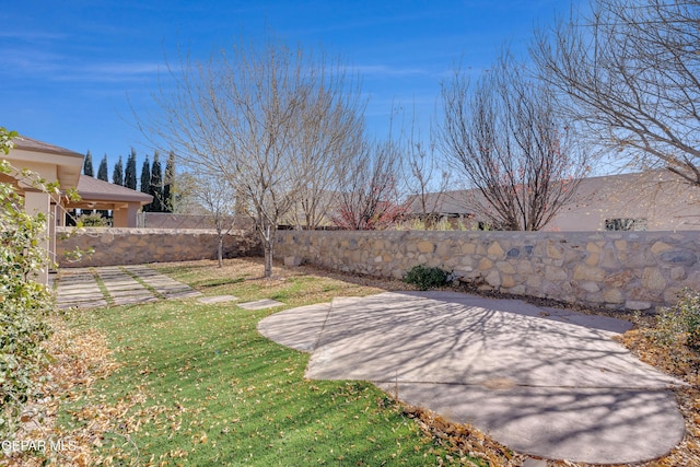 view of yard featuring a patio