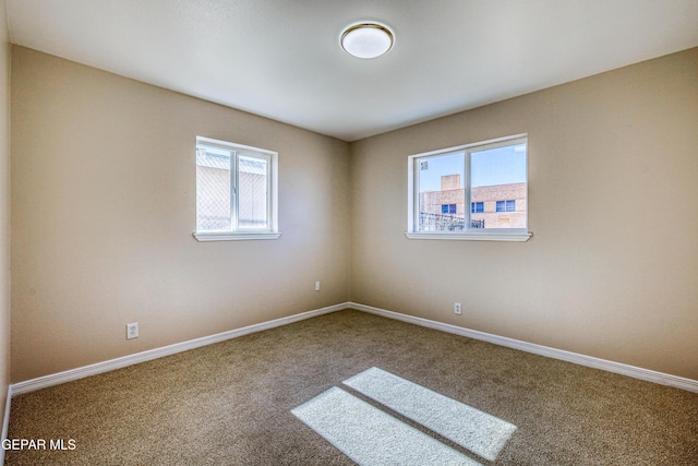 empty room featuring carpet floors