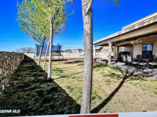 view of yard with a patio and a trampoline