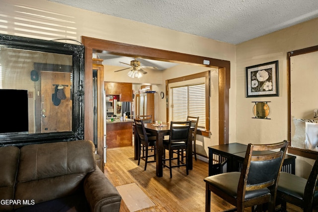 dining room featuring ceiling fan, light hardwood / wood-style floors, and a textured ceiling