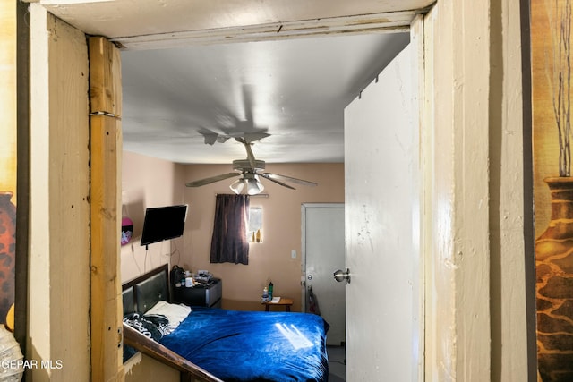 bedroom with ceiling fan