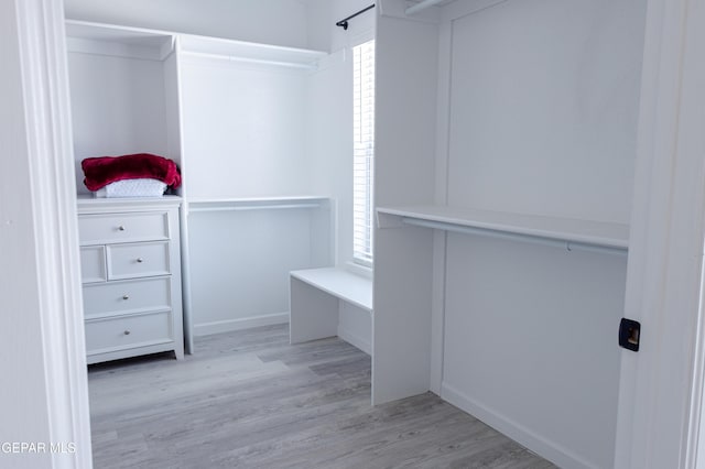 spacious closet featuring light wood-type flooring