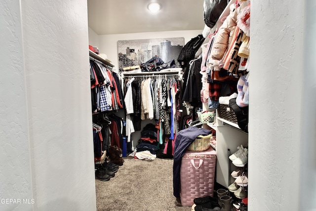 walk in closet with carpet flooring