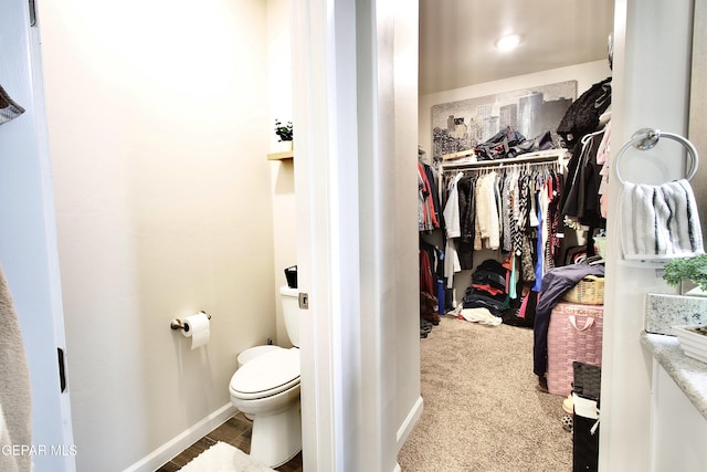 walk in closet featuring carpet floors