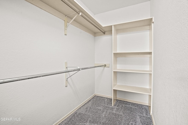 spacious closet with carpet floors