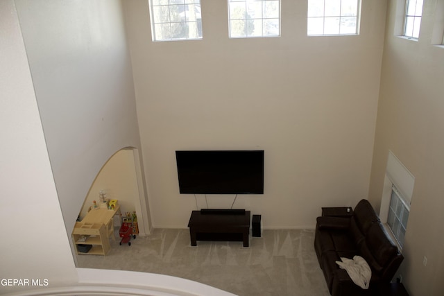 living room with carpet flooring