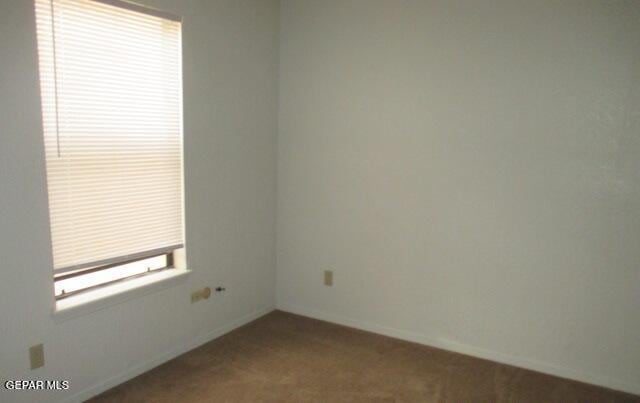 unfurnished room featuring carpet