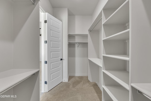 12869 Kingsbury Ave, Horizon City, TX 79928 - walk in closet with light carpet