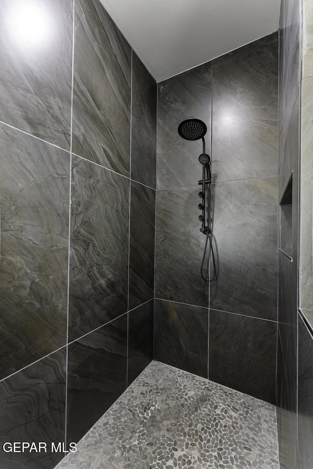 12869 Kingsbury Ave, Horizon City, TX 79928 - full bathroom with tiled shower