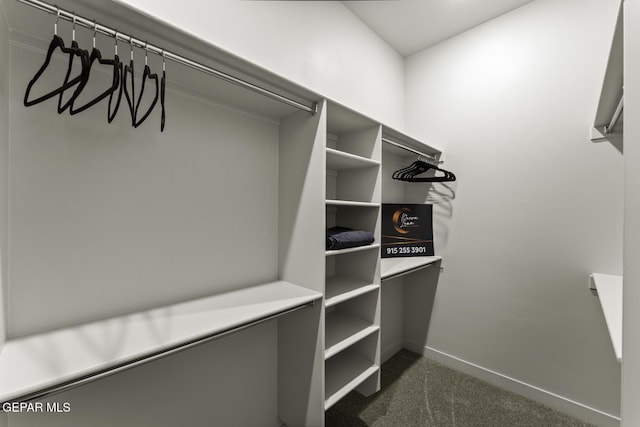 12869 Kingsbury Ave, Horizon City, TX 79928 - walk in closet with dark colored carpet