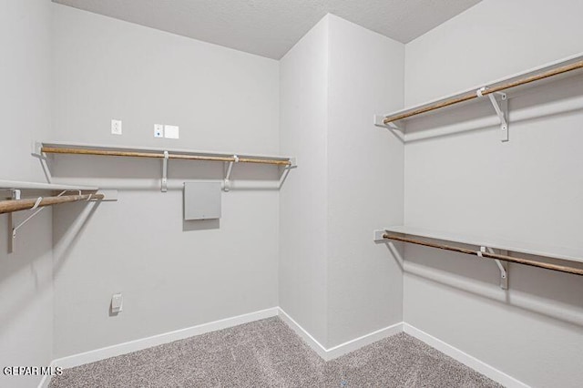 walk in closet featuring carpet flooring