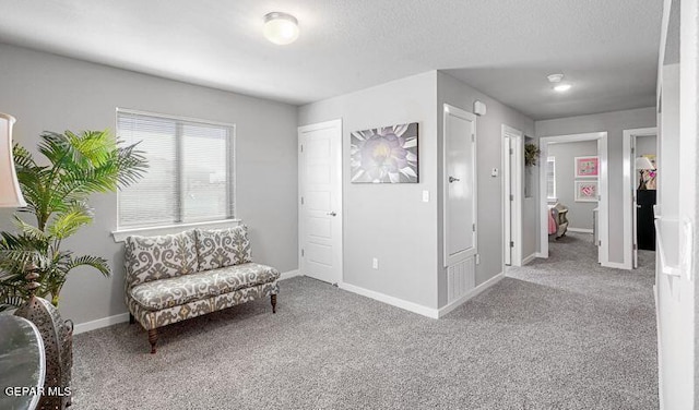 sitting room featuring a textured ceiling and carpet flooring