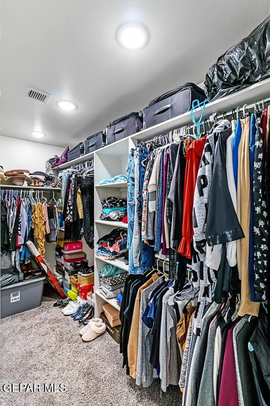 spacious closet featuring carpet flooring