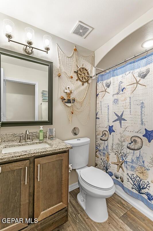 bathroom featuring toilet, a shower with curtain, and vanity