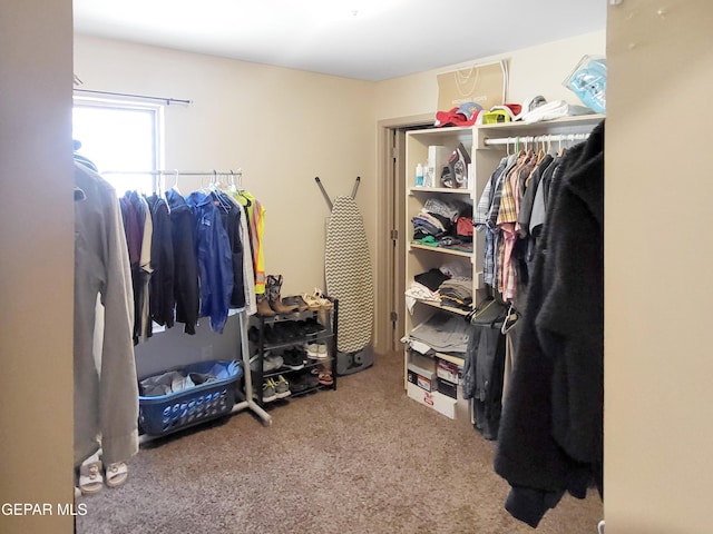 spacious closet with carpet floors