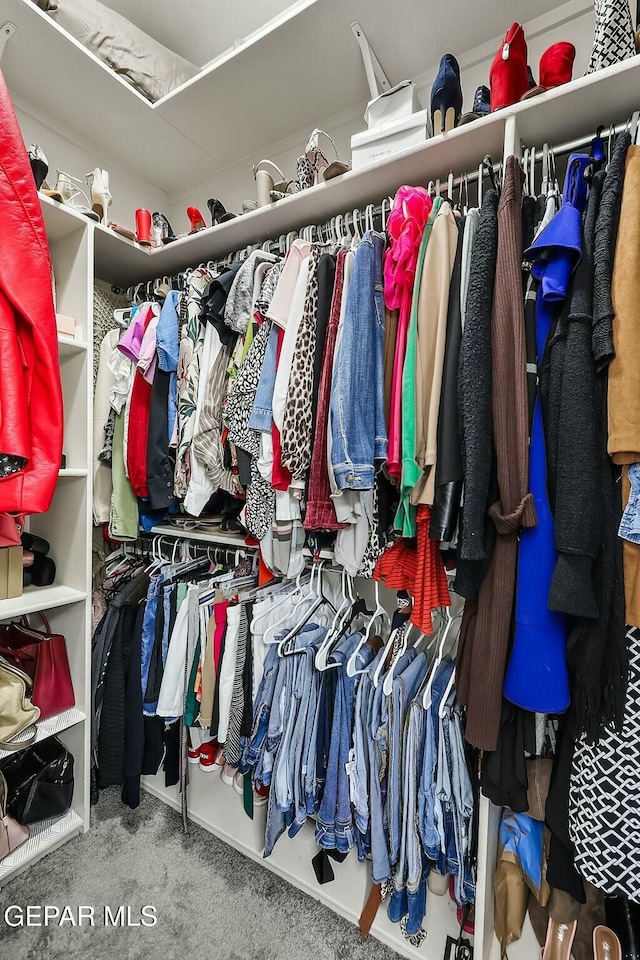 walk in closet featuring carpet floors