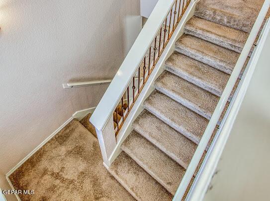 staircase with carpet floors