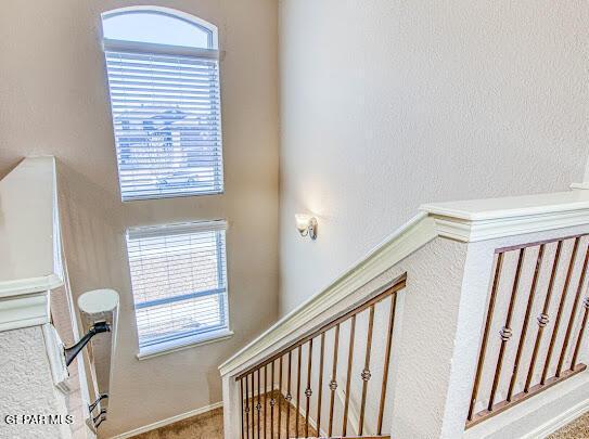 staircase featuring carpet