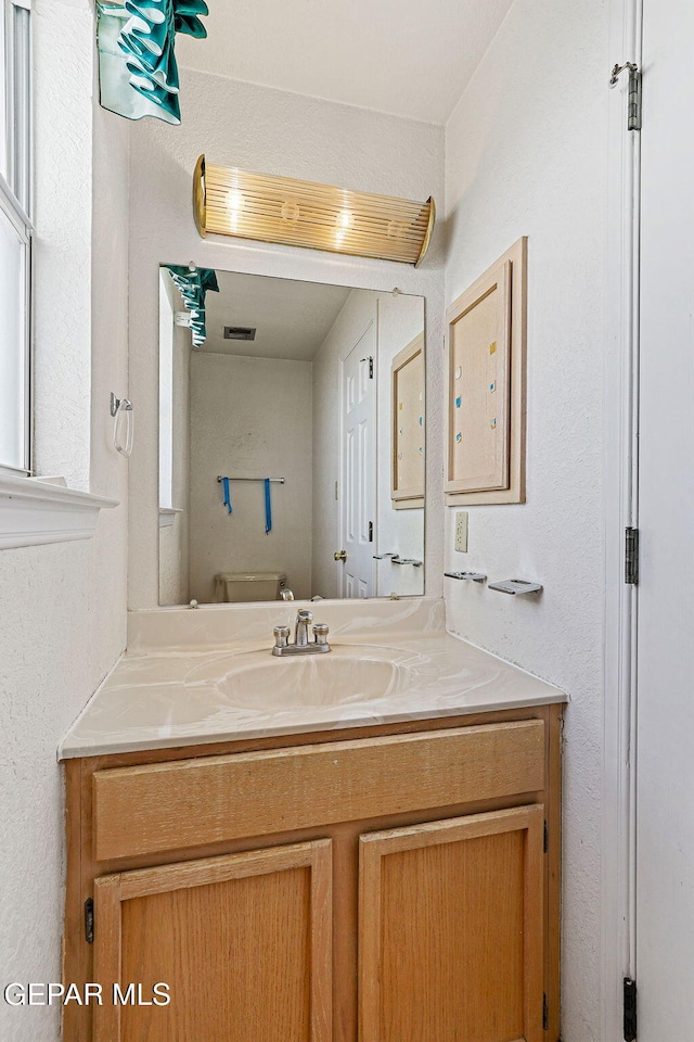 bathroom with toilet and vanity