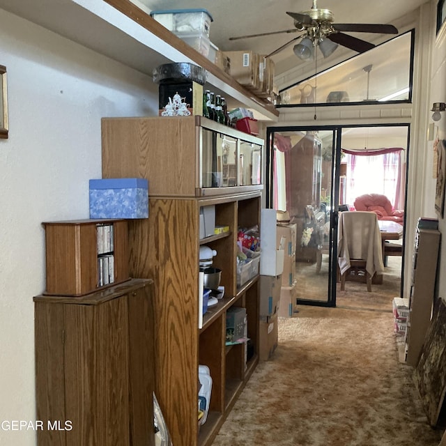 storage area with ceiling fan