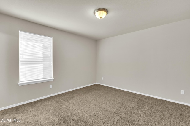 spare room featuring carpet floors