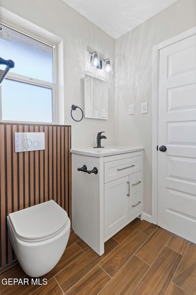 bathroom with toilet and vanity