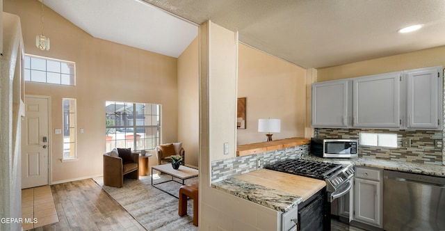 kitchen with decorative backsplash, a towering ceiling, light wood-type flooring, light stone countertops, and stainless steel appliances