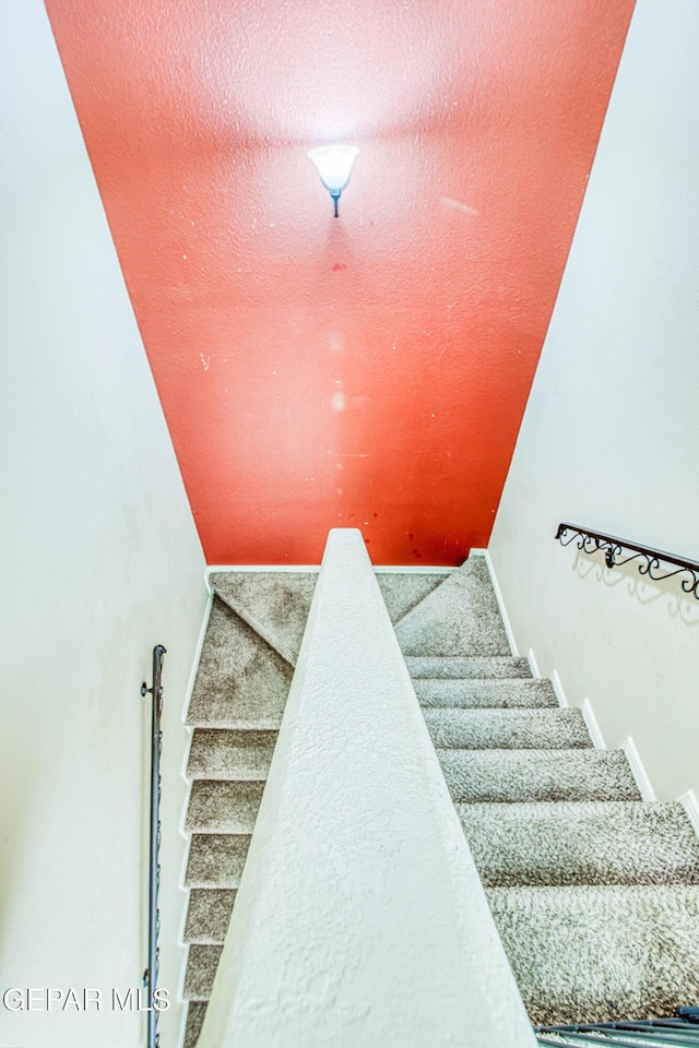 staircase featuring carpet floors