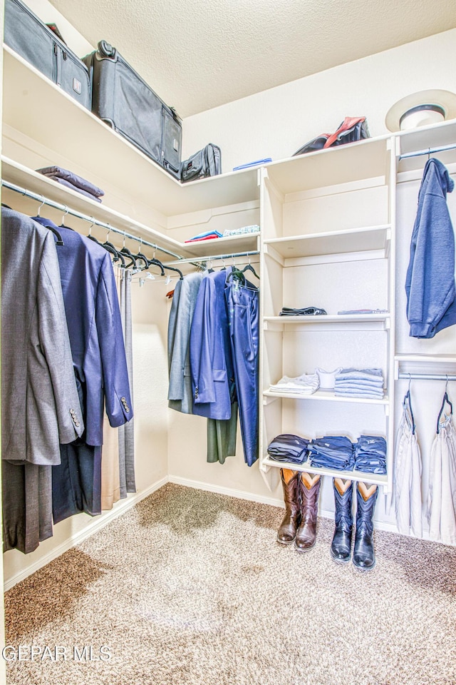 spacious closet featuring carpet flooring