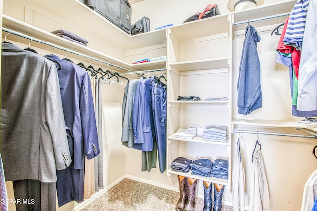 spacious closet with light carpet