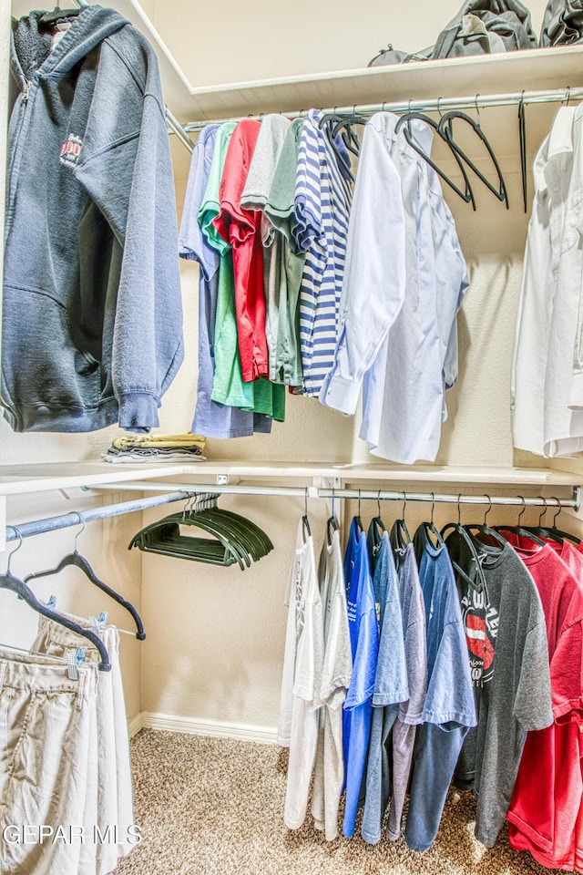 walk in closet with carpet flooring