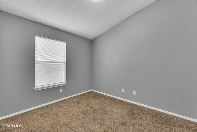 unfurnished room with carpet and a textured ceiling