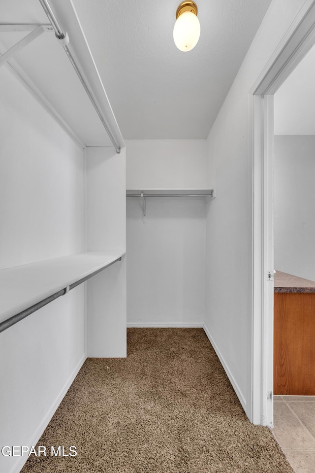 spacious closet with light colored carpet