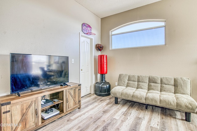 living room featuring a textured ceiling and light hardwood / wood-style flooring