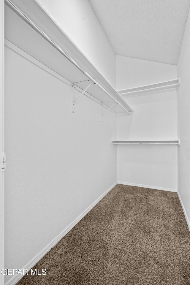 walk in closet featuring lofted ceiling and carpet floors