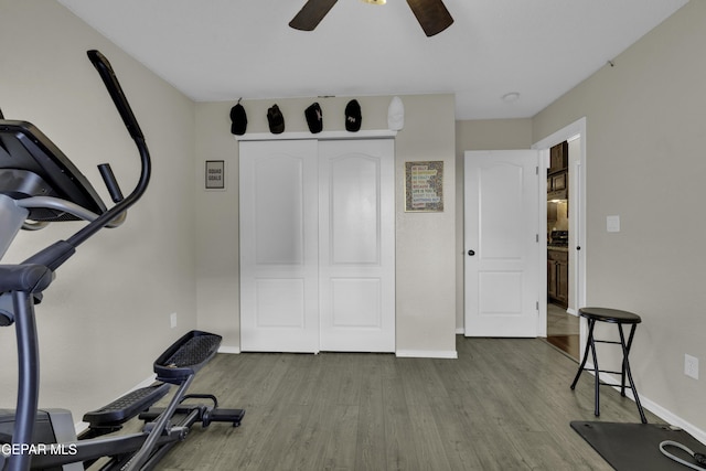 exercise area with light hardwood / wood-style flooring and ceiling fan