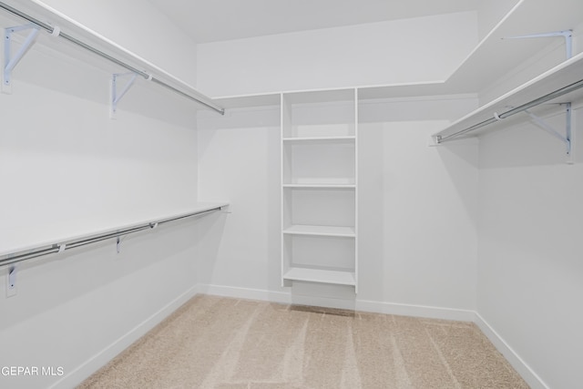 spacious closet with light colored carpet