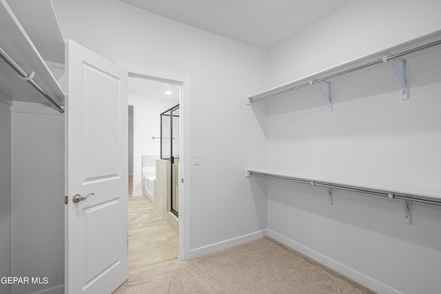 spacious closet featuring light colored carpet